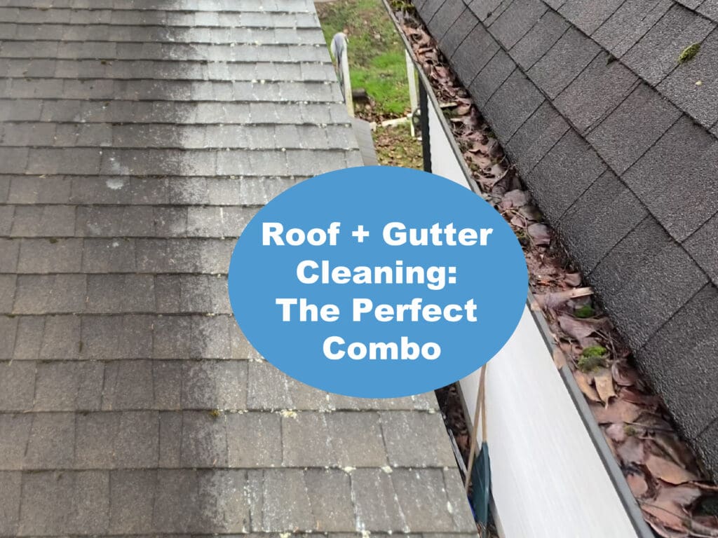 Cloverdale Roof Cleaning